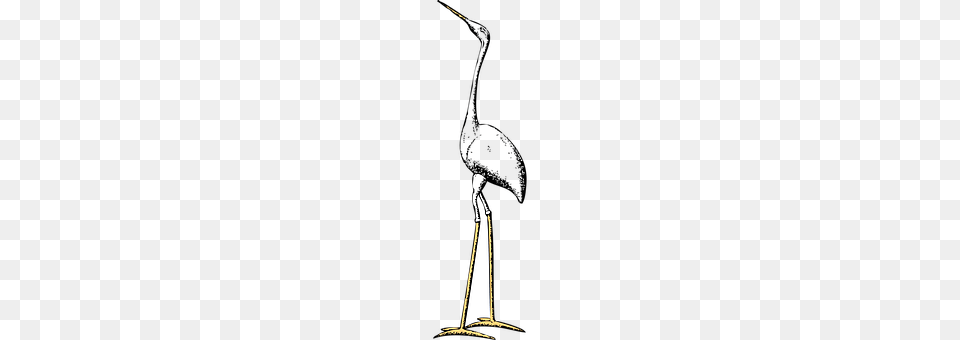 Stork People, Person, Lighting, Cross Free Transparent Png