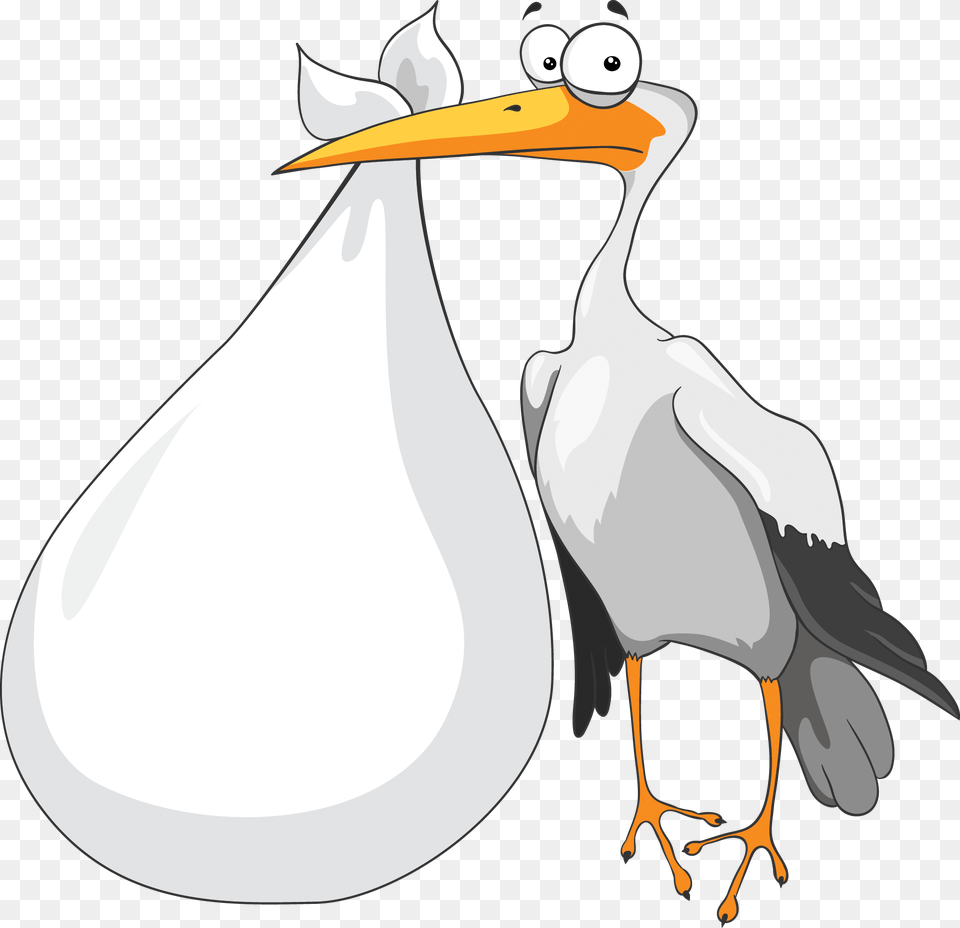 Stork, Animal, Bird, Waterfowl, Beak Free Transparent Png