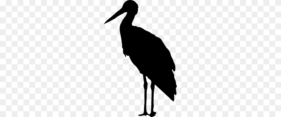 Stork, Animal, Bird, Waterfowl, Crane Bird Free Transparent Png