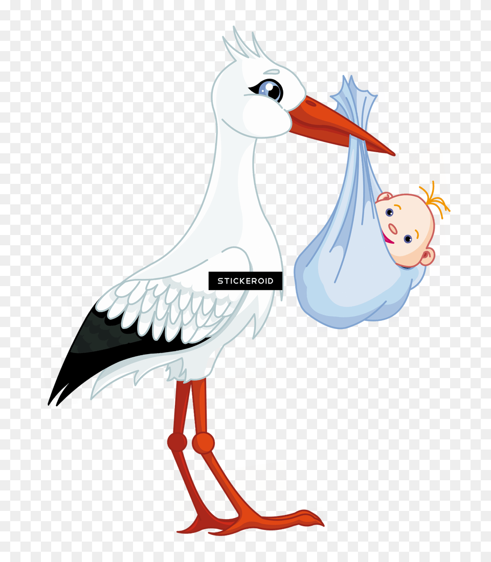 Stork, Animal, Bird, Waterfowl, Goose Png