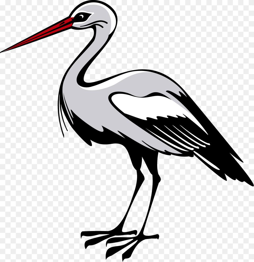 Stork, Animal, Bird, Crane Bird, Waterfowl Png Image