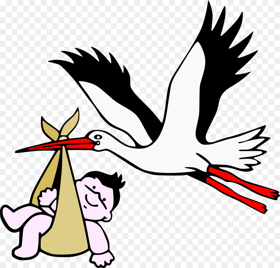 Stork, Animal, Bird, Waterfowl, Baby Png Image