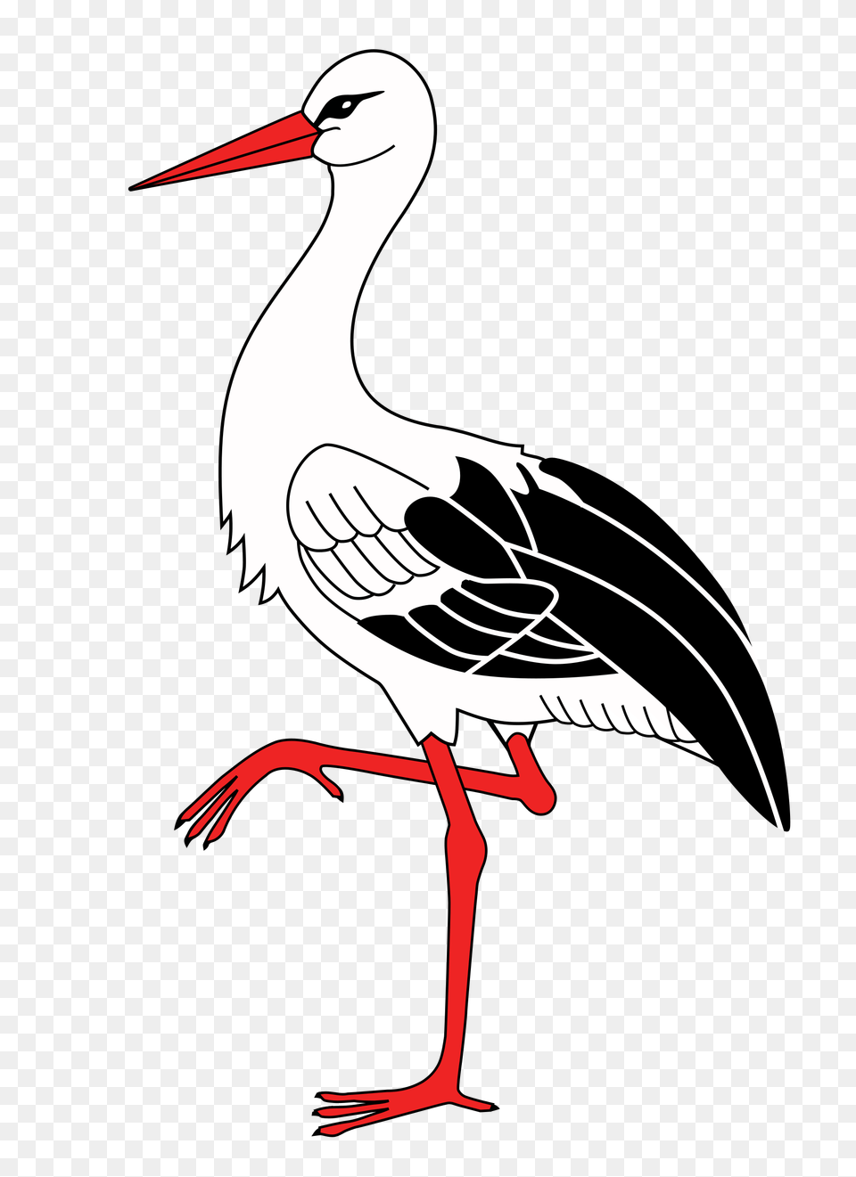 Stork, Animal, Bird, Crane Bird, Waterfowl Png