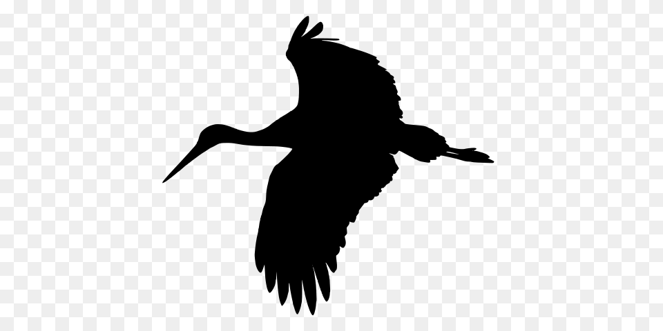 Stork, Gray Free Transparent Png