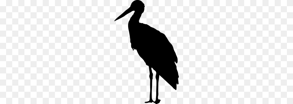 Stork Gray Png Image