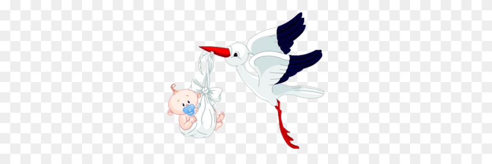Stork And Baby Clipart Gallery, Animal, Bird, Flying, Waterfowl Free Transparent Png