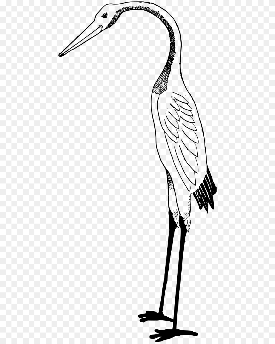 Stork Art, Gray Free Transparent Png