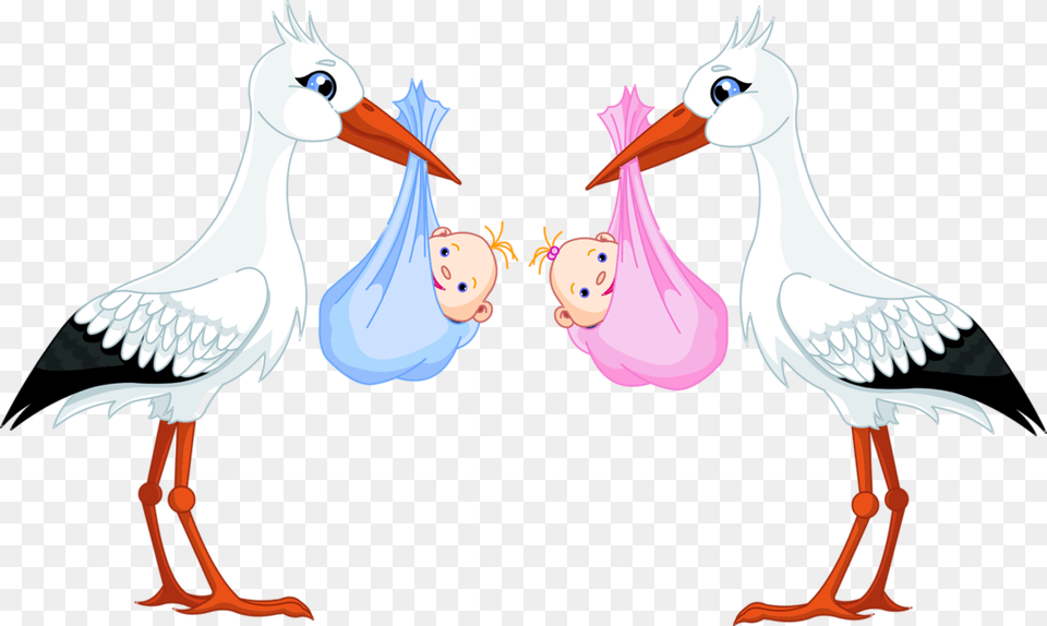 Stork Baby Clipart Download Boy And Girl Twins Clipart, Animal, Beak, Bird, Waterfowl Free Transparent Png