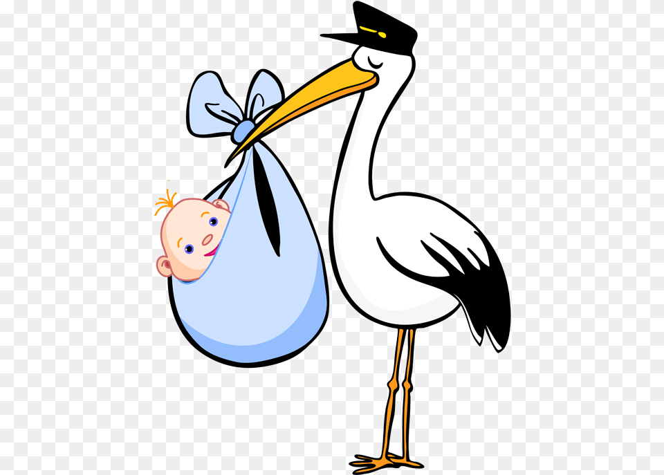 Stork Baby Stork Clipart, Animal, Beak, Bird, Waterfowl Free Transparent Png