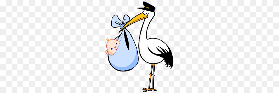 Stork Carrying Baby, Animal, Bird, Waterfowl, Beak Png