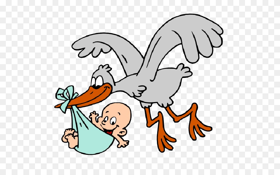 Stork Carrying Baby Boy Cartoon Clip Art Aisty, Animal, Bird, Flying, Face Free Png