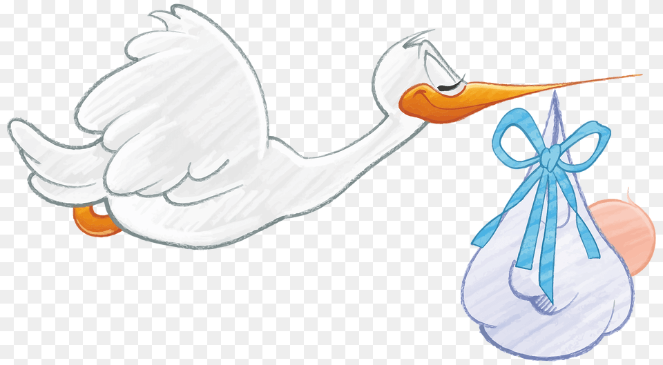 Stork Carrying Baby Boy Clipart, Animal, Bird, Waterfowl Free Png