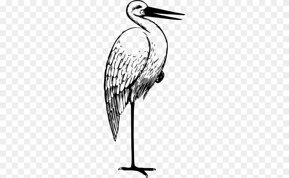 Stork Clip Art, Animal, Bird, Crane Bird, Waterfowl Free Transparent Png
