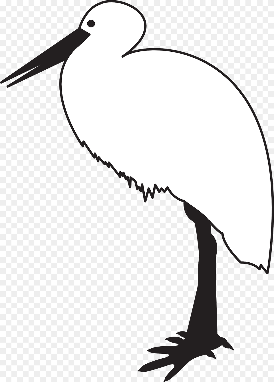 Stork Clipart, Animal, Waterfowl, Bird, Crane Bird Png