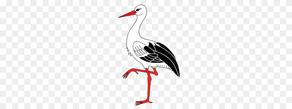 Stork Clipart, Animal, Bird, Crane Bird, Waterfowl Png