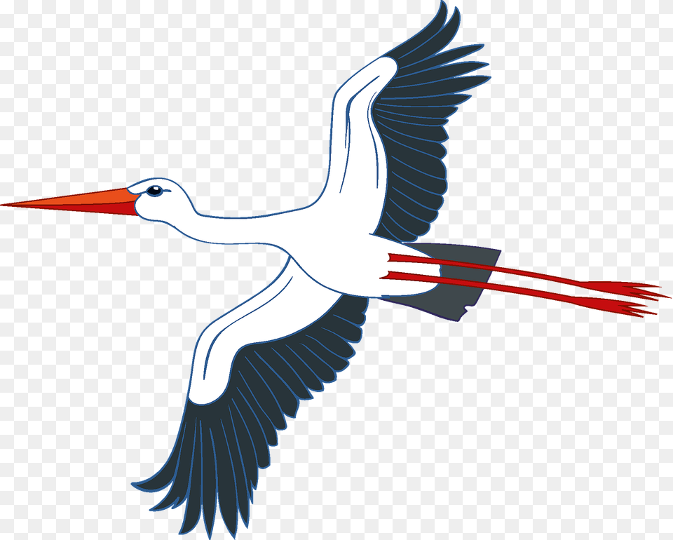 Stork Clipart, Animal, Bird, Crane Bird, Waterfowl Free Png Download