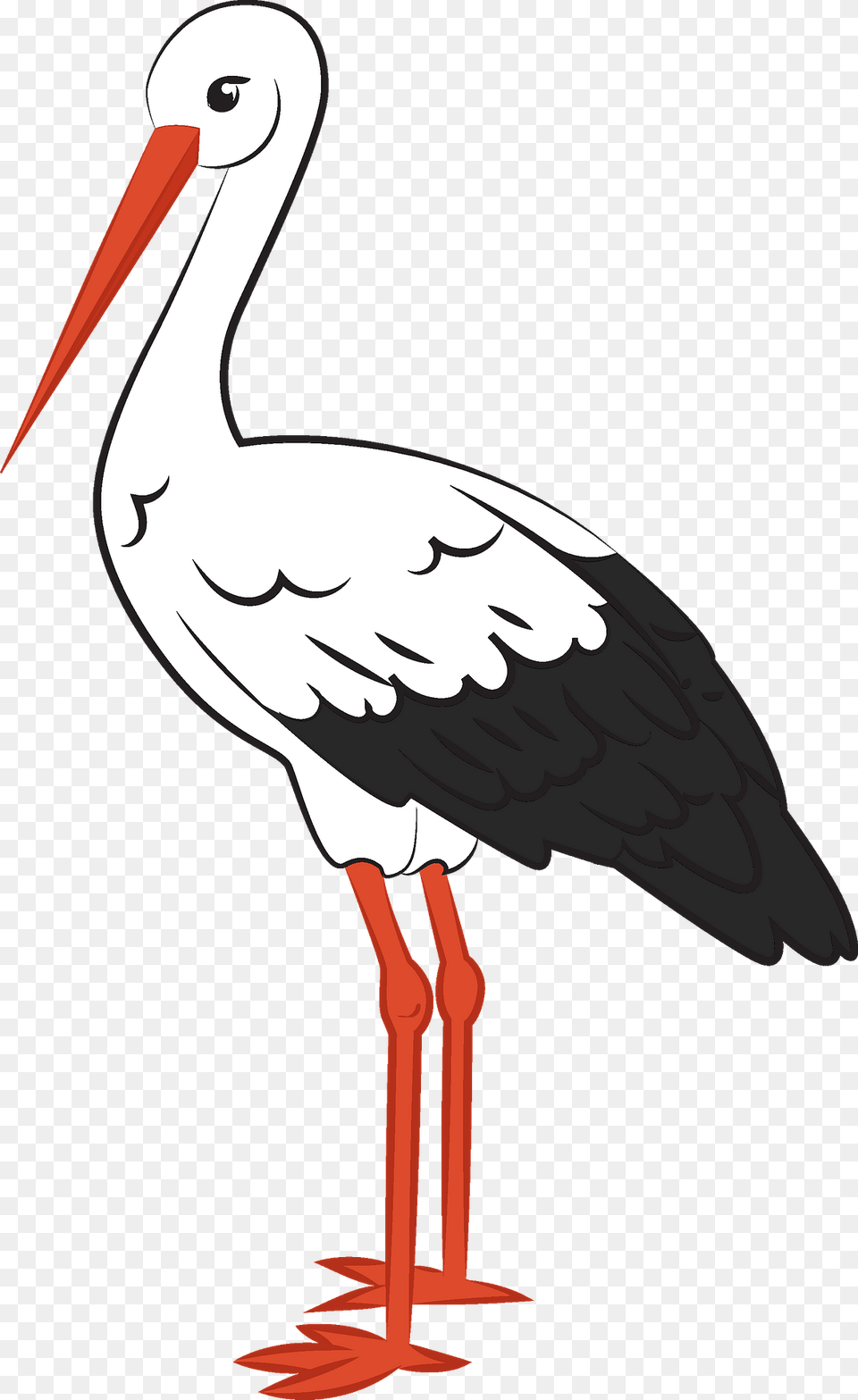 Stork Clipart, Animal, Bird, Waterfowl, Person Free Png Download