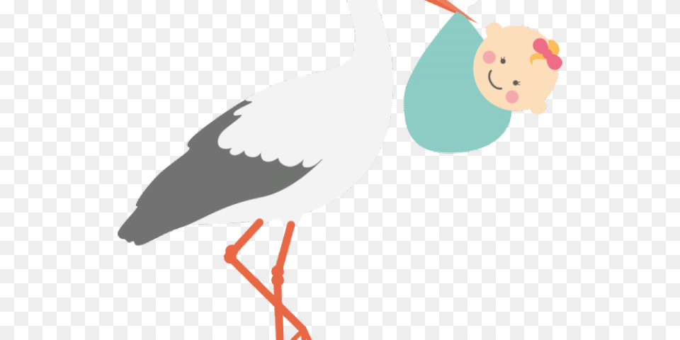 Stork Clipart, Animal, Bird, Waterfowl, Crane Bird Free Transparent Png