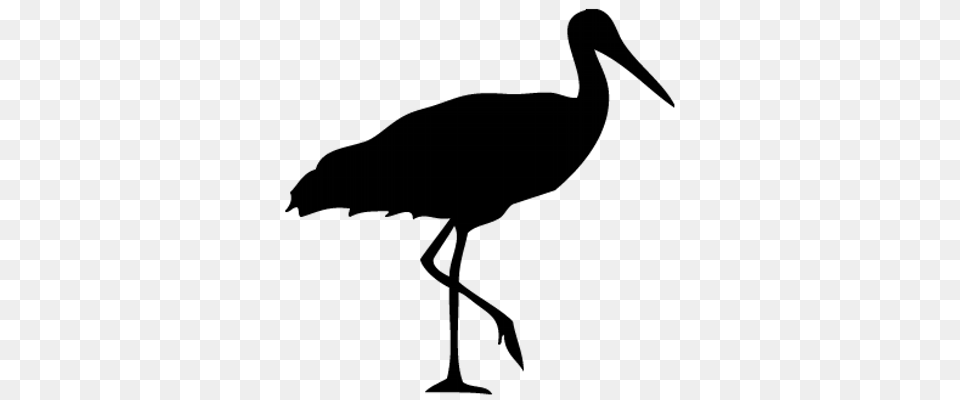 Stork Clipart, Animal, Bird, Crane Bird, Waterfowl Free Png