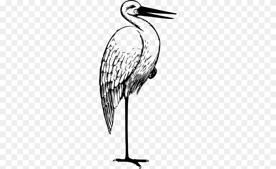 Stork Clipart Adoption, Animal, Bird, Crane Bird, Waterfowl Png Image