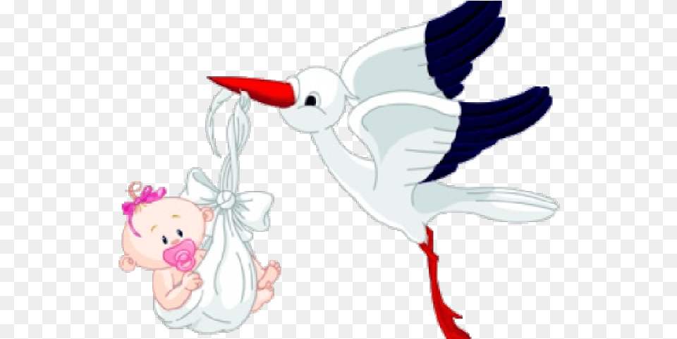 Stork Clipart Baby Transparent Background Bird Carrying Bird Carrying Baby, Animal, Jay, Waterfowl Free Png