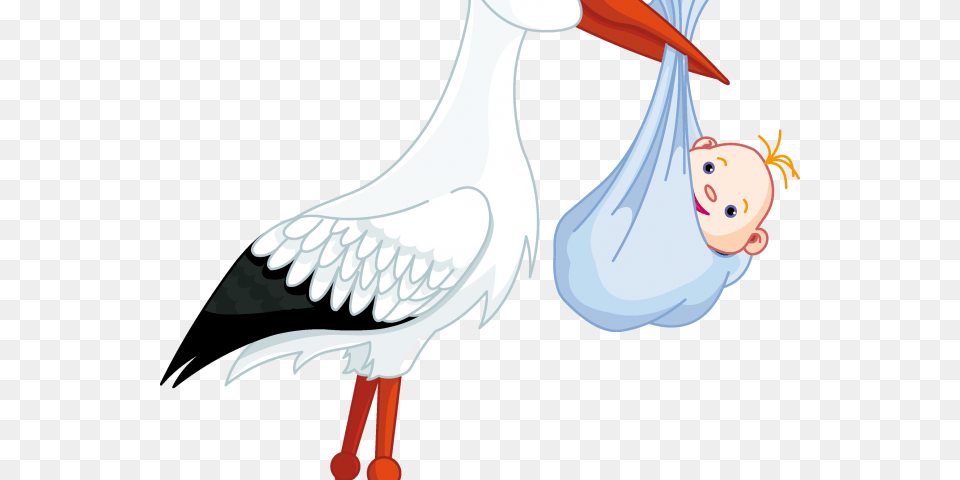 Stork Clipart Baby Transparent Background Vino La, Animal, Bird, Waterfowl, Face Png Image