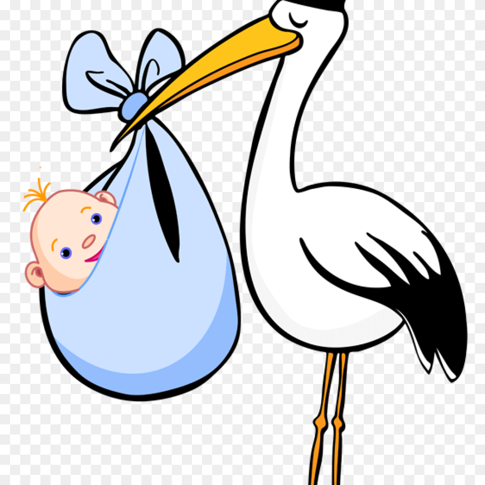 Stork Clipart Camera Clipart House Clipart Online Animal, Waterfowl, Bird, Beak Free Png Download