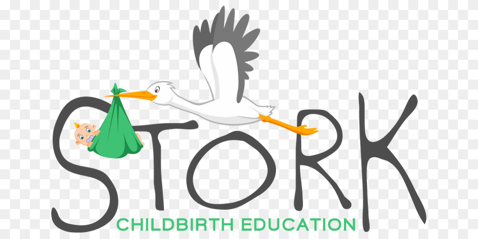 Stork Clipart Childbirth, Animal, Bird, Waterfowl, Beak Png