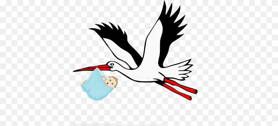 Stork Clipart Obstetrician, Animal, Bird, Crane Bird, Waterfowl Png Image