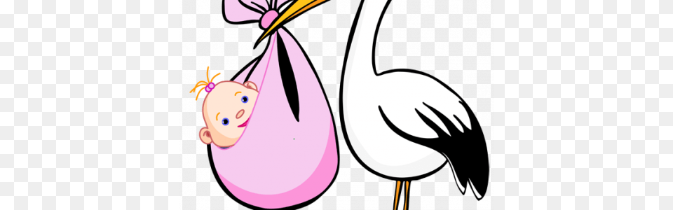 Stork Clipart Pink Stork, Animal, Beak, Bird, Waterfowl Free Png Download