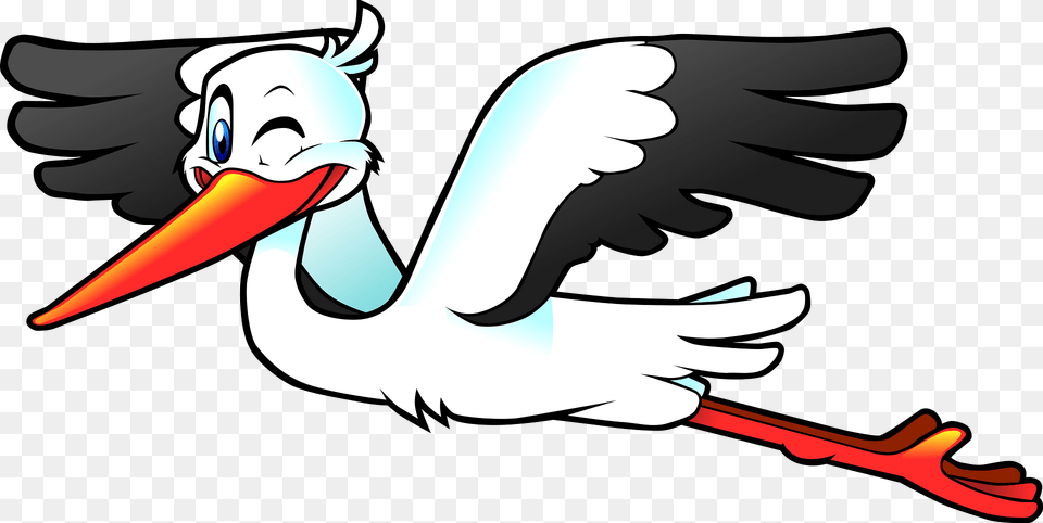 Stork Flying Clipart, Animal, Waterfowl, Bird, Person Free Png Download