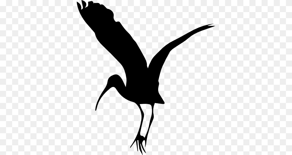 Stork Flying Icon, Silhouette, Animal, Bird, Crane Bird Free Png Download