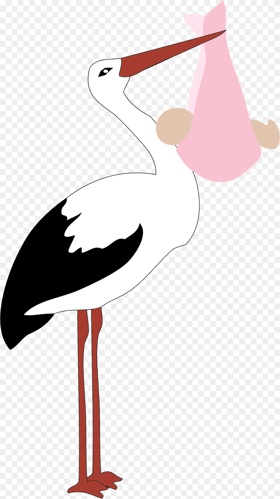 Stork Holding A Baby Girl Clipart, Animal, Bird, Waterfowl, Fish Free Transparent Png