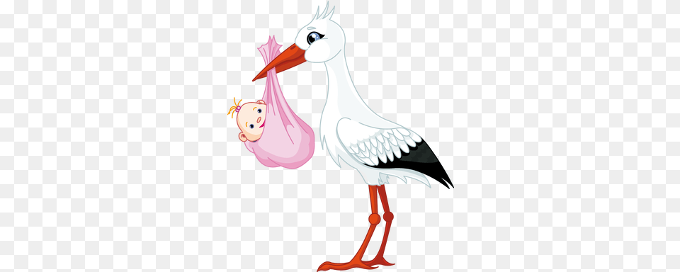 Stork Images Stork With Baby, Animal, Beak, Bird, Waterfowl Png Image