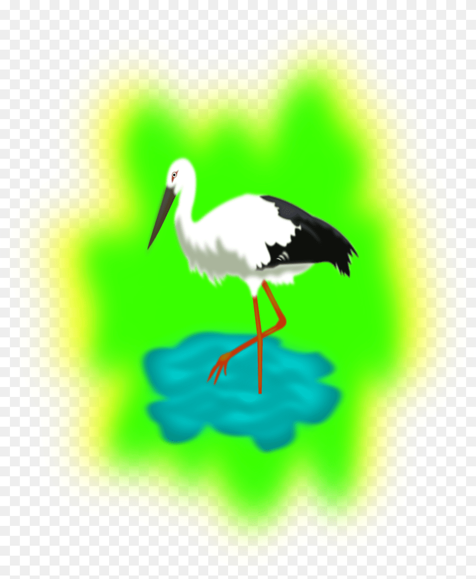 Stork In Water Clipart, Animal, Bird, Waterfowl Png Image