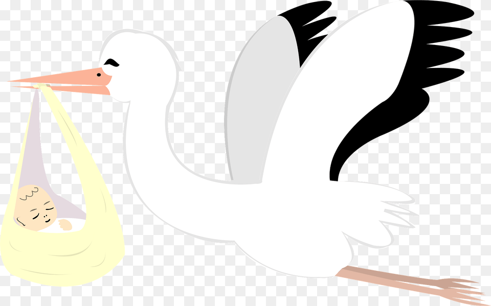 Stork Is Delivering A Baby Clipart, Animal, Bird, Waterfowl, Fish Free Png