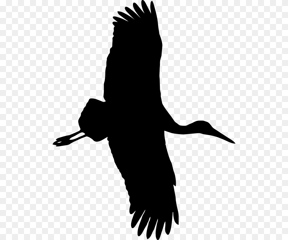Stork Silhouette, Gray Png