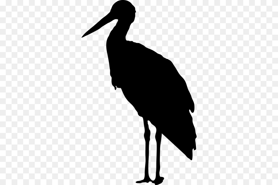 Stork Silhouette, Animal, Bird, Waterfowl, Crane Bird Free Transparent Png
