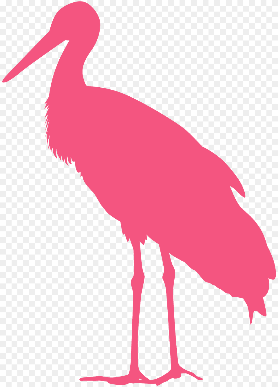 Stork Silhouette, Animal, Bird, Crane Bird, Waterfowl Free Transparent Png