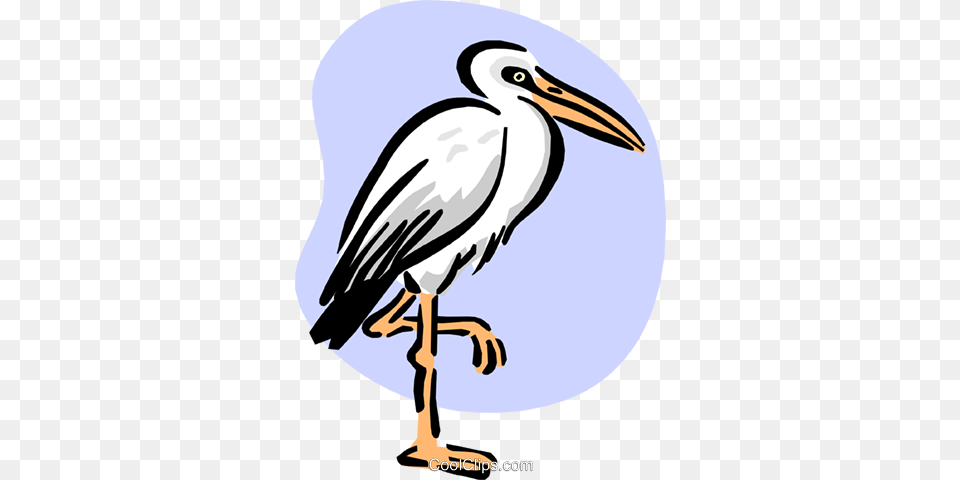 Stork Standing Royalty Vector Clip Art Illustration, Animal, Bird, Waterfowl, Beak Free Png Download