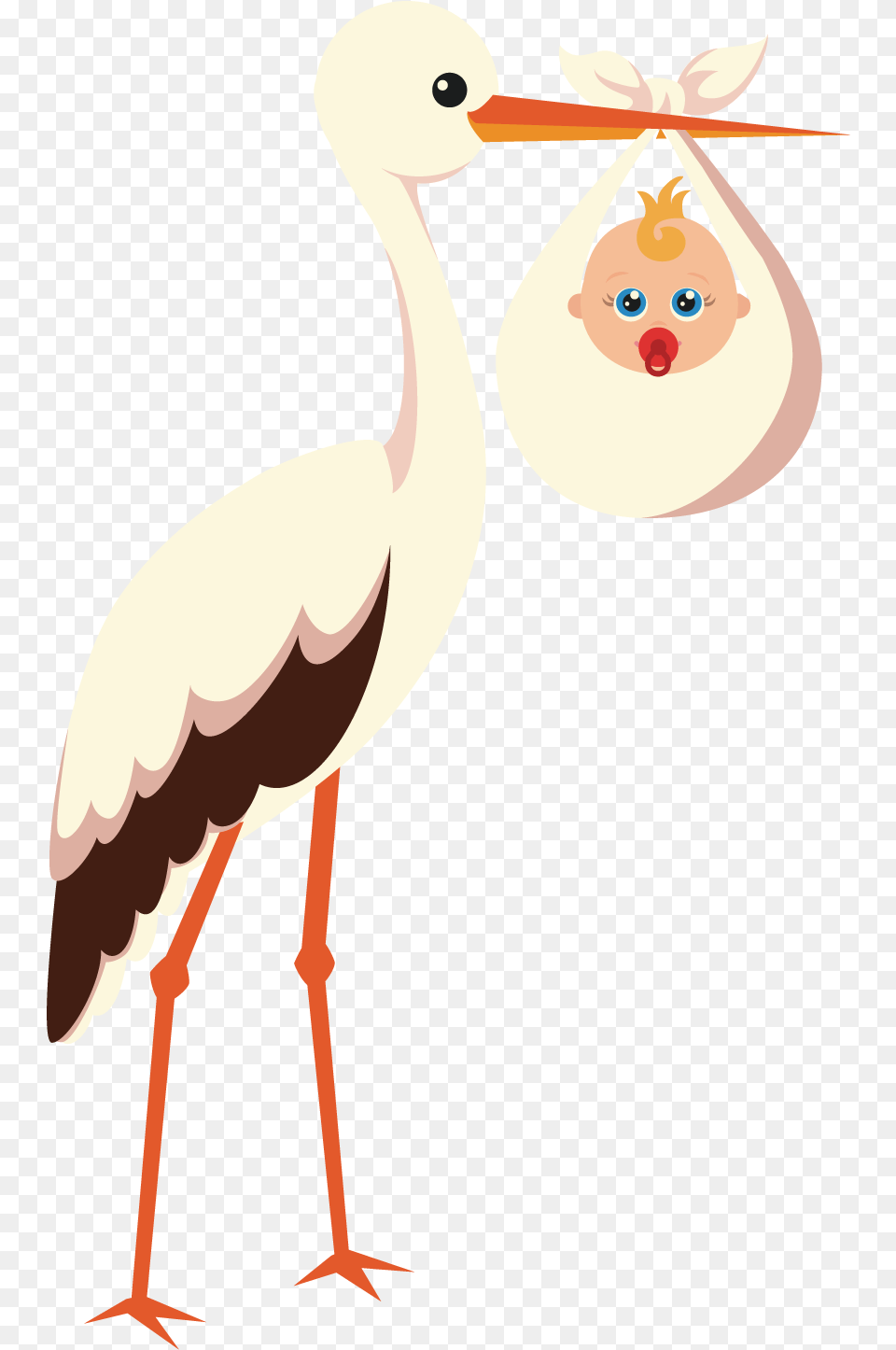 Stork Vector Pregnancy Royalty Stock Little Pink Book A Short Story, Animal, Bird, Crane Bird, Waterfowl Free Transparent Png