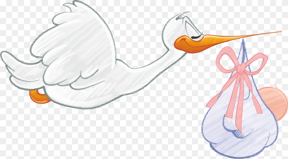 Stork With A Newborn Baby Clipart, Animal, Bird, Waterfowl, Fish Png Image