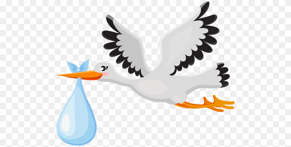 Stork With Baby Clip Art, Animal, Beak, Bird, Waterfowl Free Png Download