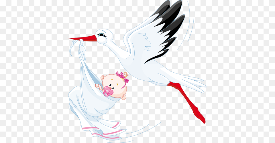 Stork With Baby Vector, Animal, Bird, Waterfowl, Crane Bird Free Png