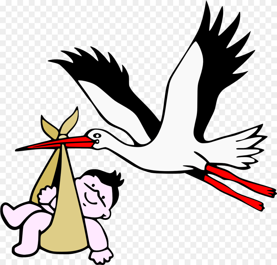 Stork With New New Born, Animal, Bird, Waterfowl, Clothing Png