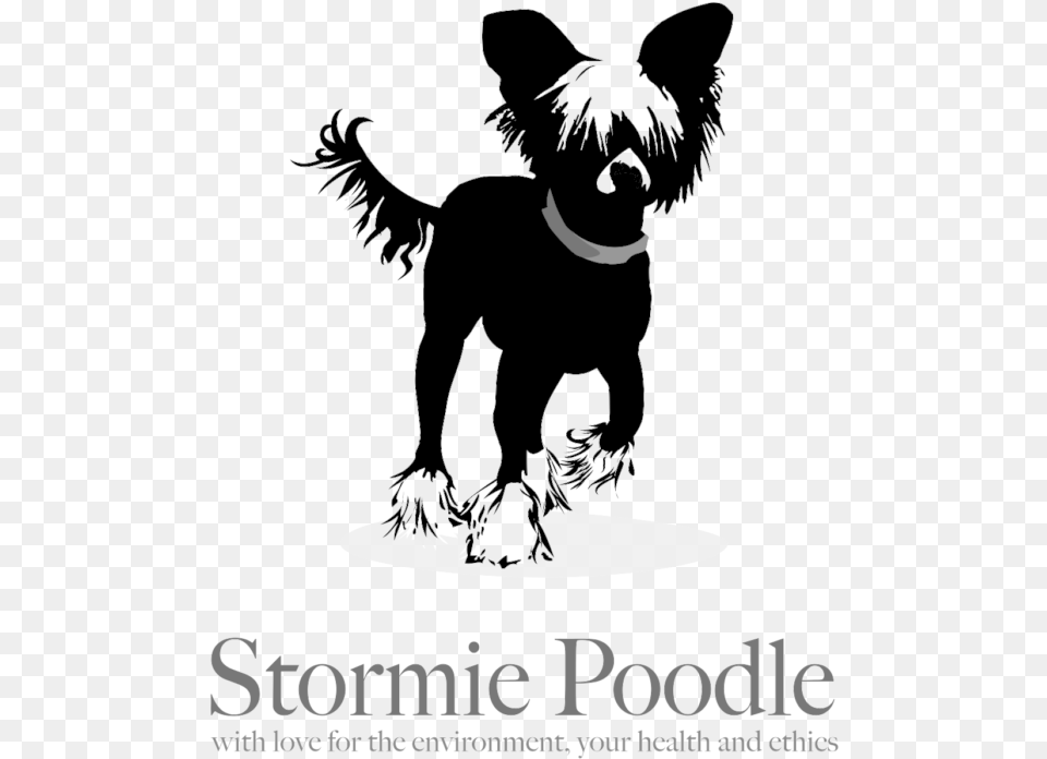 Stormie Poodle Chinese Crested Dog, Poster, Advertisement, Person, Man Free Png