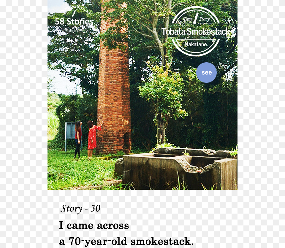 Story 30 I Came Across A 70 Year Old Smokestack, Clothing, Coat, Tree, Plant Png Image