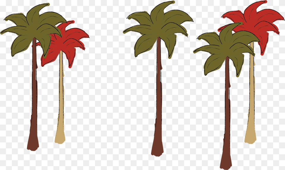 Story Fresh, Palm Tree, Plant, Tree, Vegetation Free Png