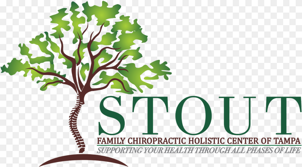 Stout Family Chiropractic Logo, Plant, Green, Vegetation, Tree Free Png