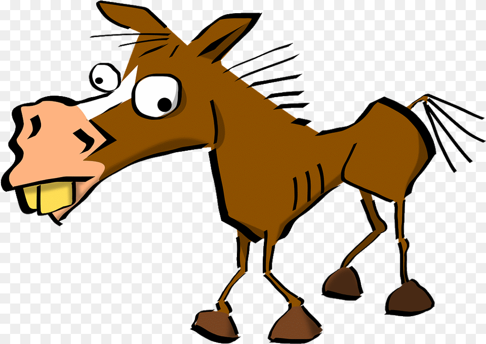 Straight From The Horse39s Mouth Idiom, Animal, Mammal, Person, Horse Free Png Download